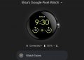 AAW Google Pixel Watch app screenshot