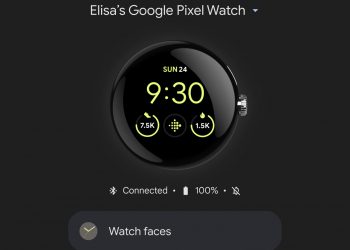 AAW Google Pixel Watch app screenshot