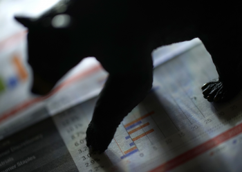 bear figurine standing on a financial report