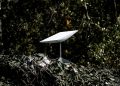 Elon Musk’s SpaceX Bails on Starlink Funding for Ukraine
