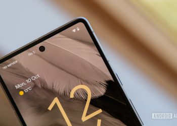 Google Pixel 7 bezels and selfie camera