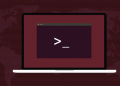 How to Use the chmod Command on Linux