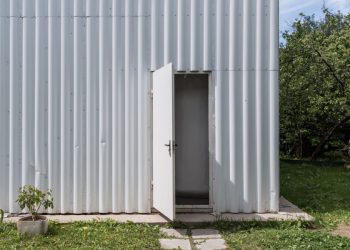 The Download: the dream of cryonics, and enhanced rats