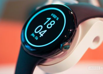 Google Pixel Watch Crown