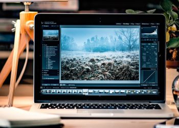 16 Websites To Search For Free Stock Images In 2022