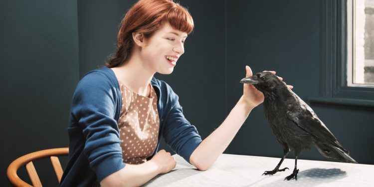 Befriending crows, and Twitter under Musk
