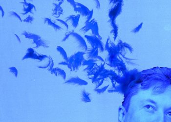 How to 'Quiet Quit' Elon Musk's Twitter