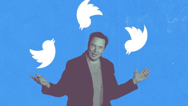 Musk's lawyer tells Twitter staff they won't be liable if company violates FTC consent decree • TechCrunch