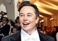 Explained What is Tribel Social, the left-leaning Twitter-like app that Elon Musk is rumoured to buy next