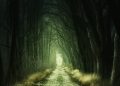 Enhance Your Devices With Dark Forest Green Wallpaper
